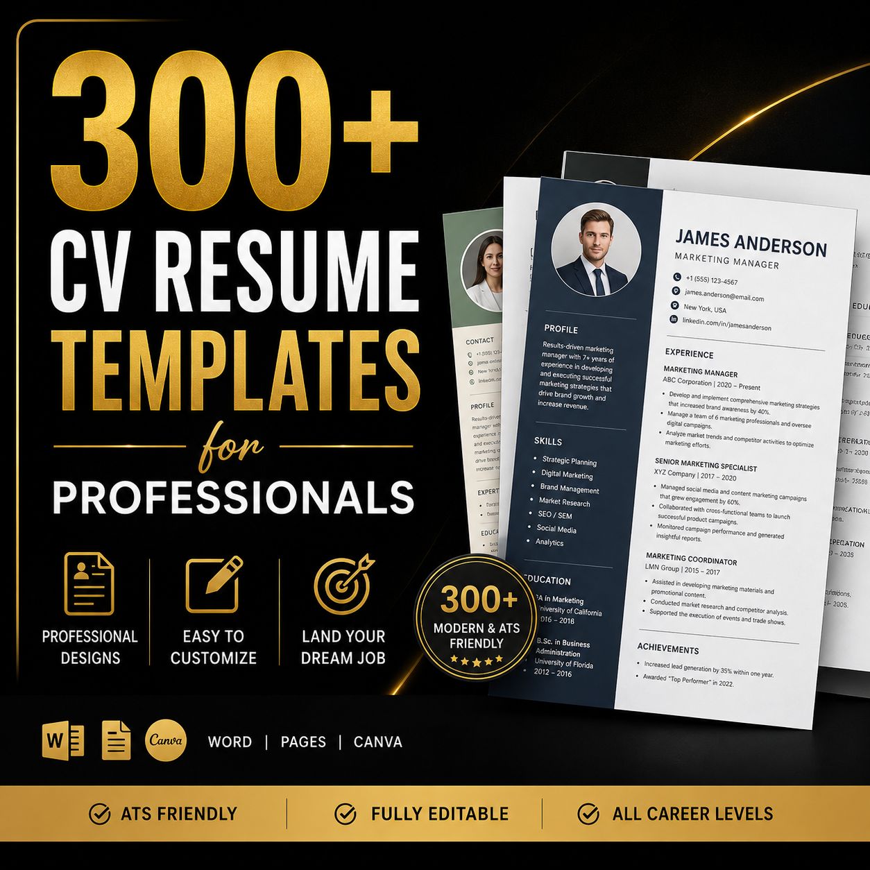 300+ Resume Templates for Professionals