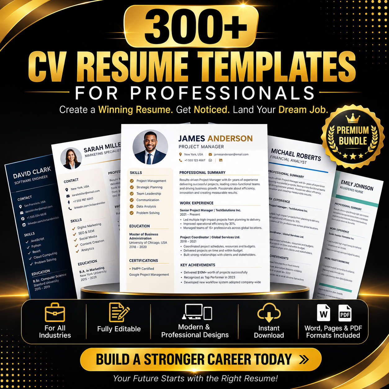 300+ Resume Templates for Professionals