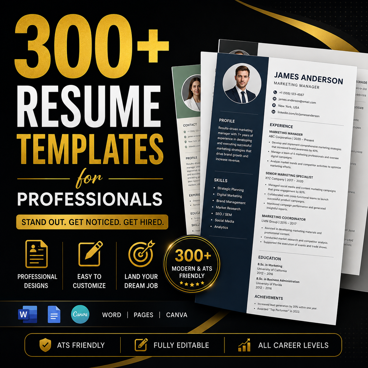 300+ Resume Templates for Professionals